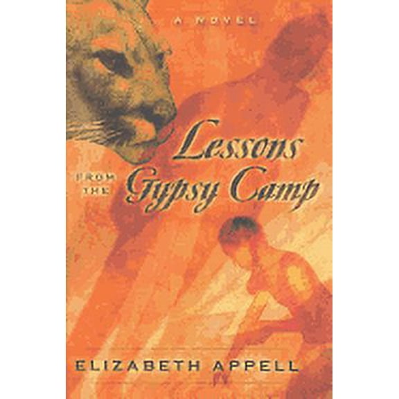 Lessons from the Gypsy Camp: Consequences (Paperback) by Elizabeth Appell