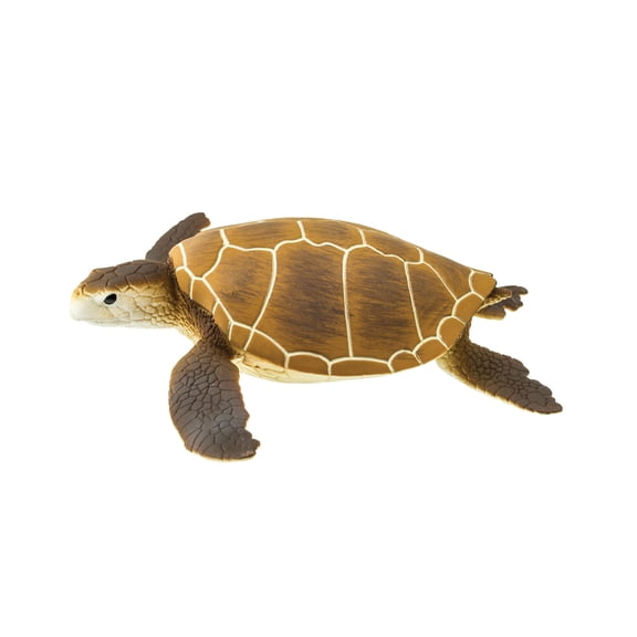 Safari Ltd. Green Sea Turtle Figurine - Lifelike 4" Model Figure - Educational Toy for Boys, Girls, and Kids Ages 1 