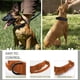 thumbnail image 4 of Collar de perro con mango de control, hebilla de metal de liberación rápida, estilo militar resistente, 4 of 5