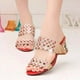 thumbnail image 1 of Chanclas de moda de verano para mujer, sandalias de tacón alto, zapatos de diamantes de imitación para chicas gordas Wmkox8yii  hj789, 1 of 6