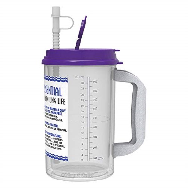 32 oz w.e. insulated cold drink hospital mug with purple lid Walmart