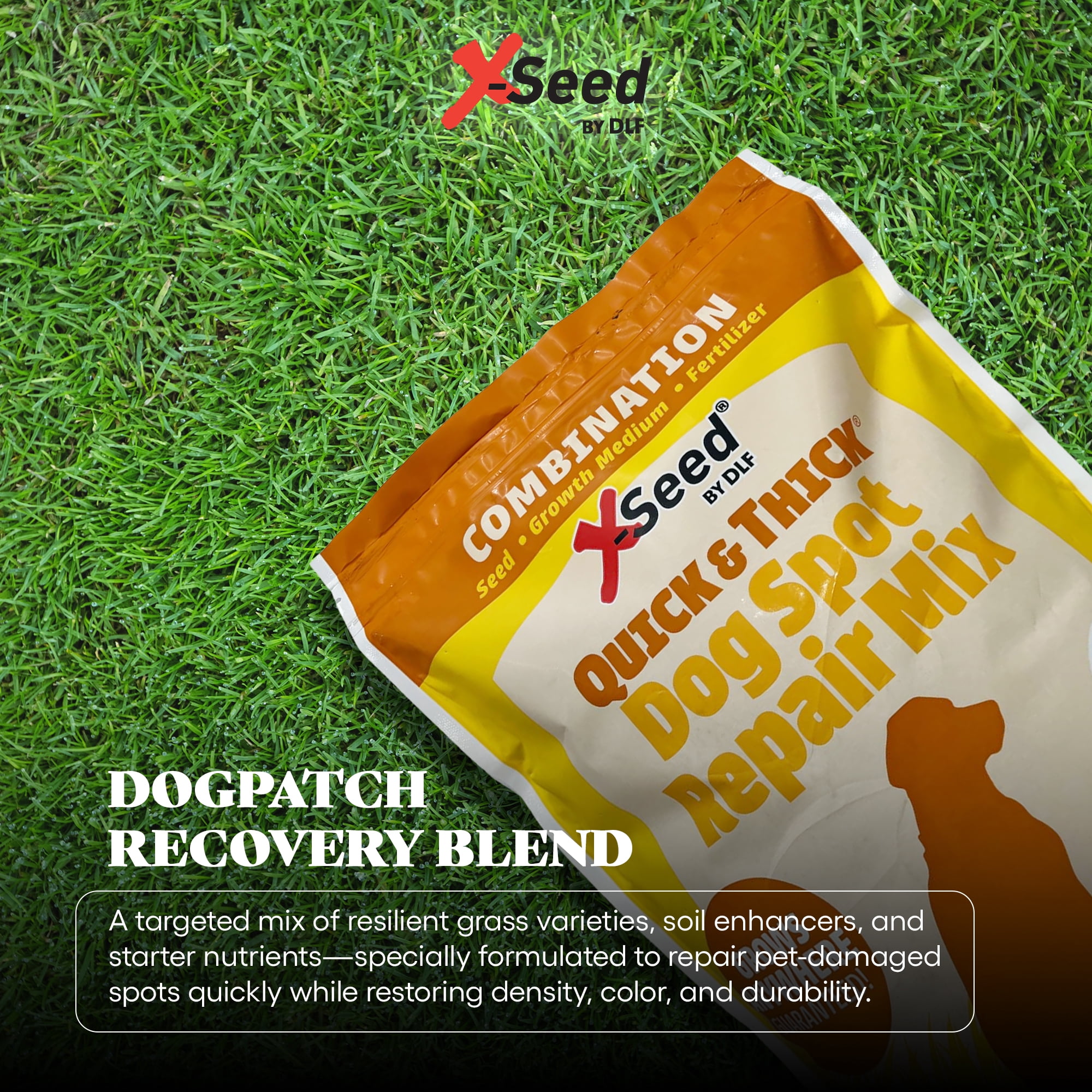Quick & Thick Dog Spot Repair Grass Patch Repair for Lawn, Regrow Yellow Grass Areas Anywhere Quick, Pet Proof Grass Seeds for Lawn, Fertilizer & Natural Growth Medium - Up to 200 Spots 1.75 Pounds