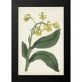 thumbnail image 2 of Ridgeway 11x14 Black Modern Framed Museum Art Print Titled - Antique Botanical Collection X, 2 of 5