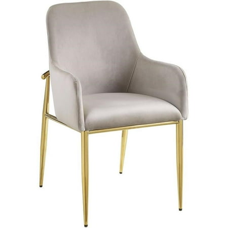 Bowery Hill Modern Side Chair in Gray Velvet & Mirrored Gold Finish (Set of 2)