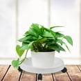 thumbnail image 2 of CNKOO Rack PP Cultivation Pot Move The Pallet Potted Plant Stand Plants Rolling Tray Gardening Home Decor Caddy, 2 of 10