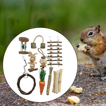 Guinea Toy Bunny Toy,Chinchilla Snacks Toys,Hamster Chew Toy,Natural Wood Dumbells for Gerbil,Hamster,Rabbit,Small Animal Molar Accessories , G G