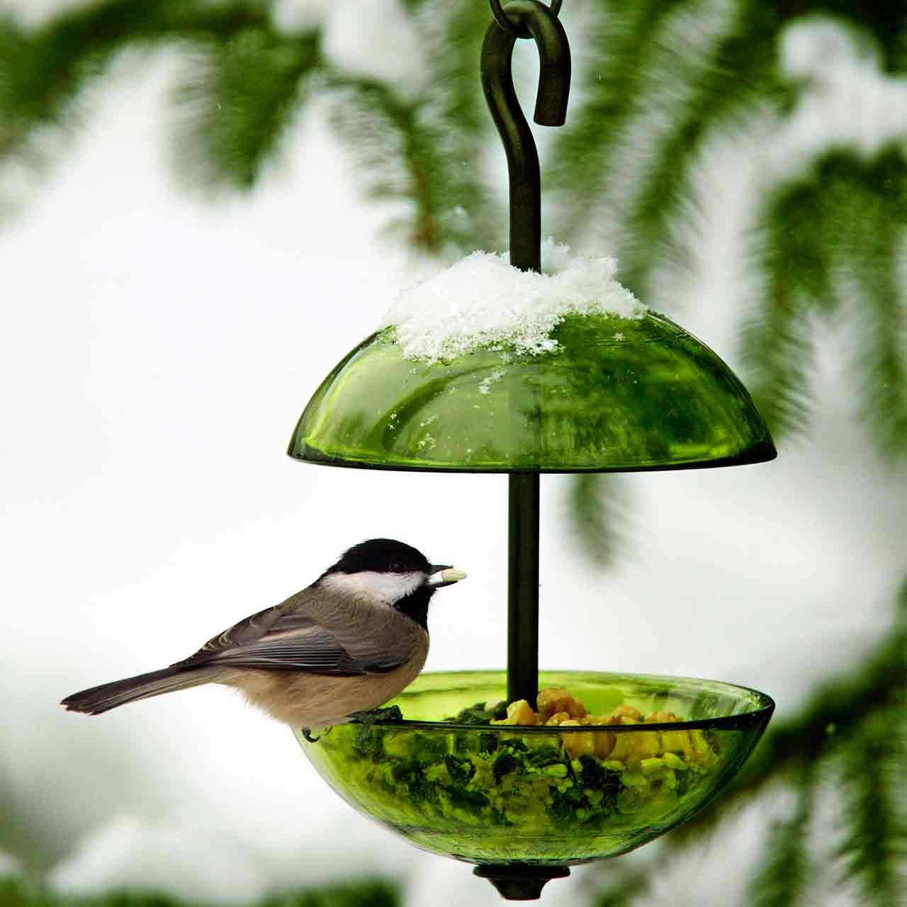 Mosaic Birds Double Hanging Poppy Feeder