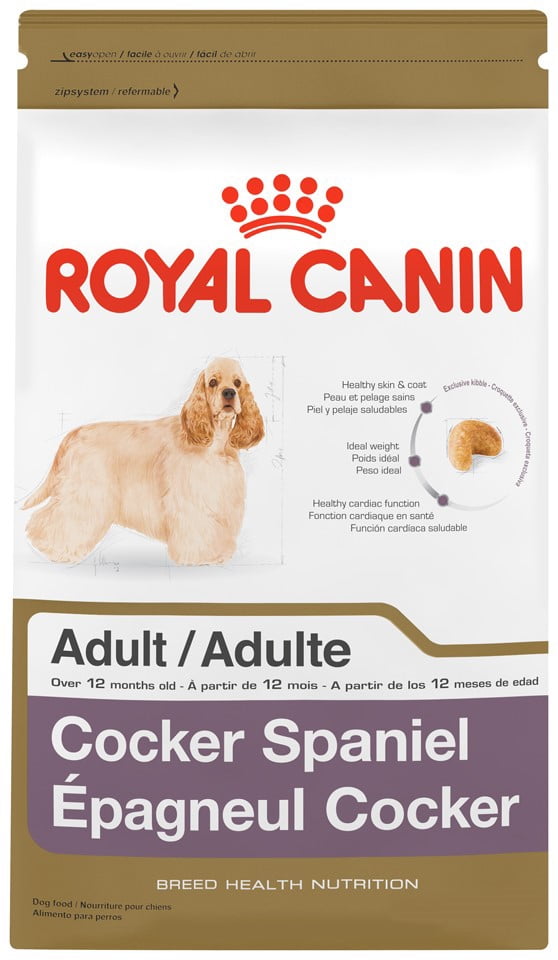 cocker spaniel dog food