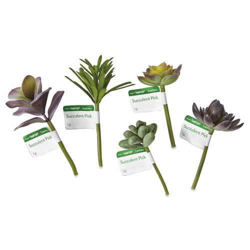 Design It Simple Style FloraCraft Small Succulents, 1 Each