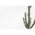 thumbnail image 2 of Artographie Studio 18x13 White Modern Wood Framed Museum Art Print Titled - Cactus 004, 2 of 4