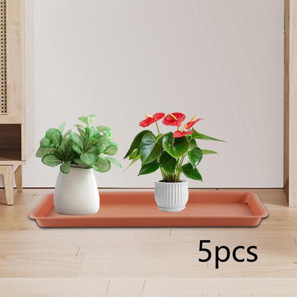 5 piezas de plantador plantador bandejas plantillas de drenaje de planta durabilidad fácil de limpiar goteo de plantas Rojo
