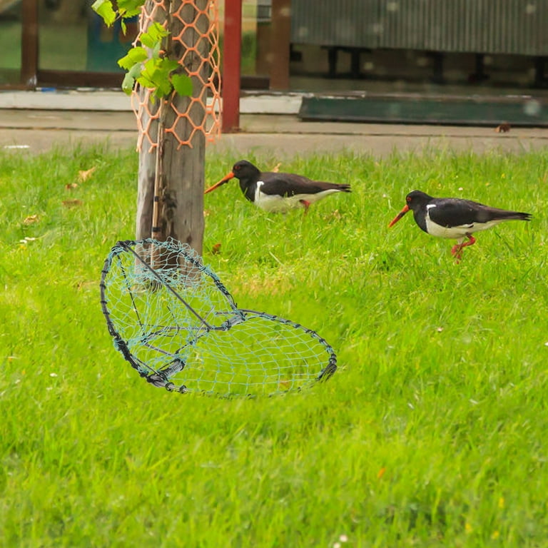 Bird Net Pigeon Catching Yard Trap Netting Reusable Where Cage Birds Quail  Catcher