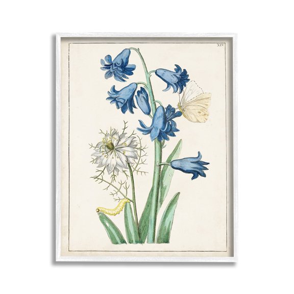 Stupell Industries Nature Bulbs with Moth Botanical & Floral Painting White Framed Art Print Wall Art, 11 x 14