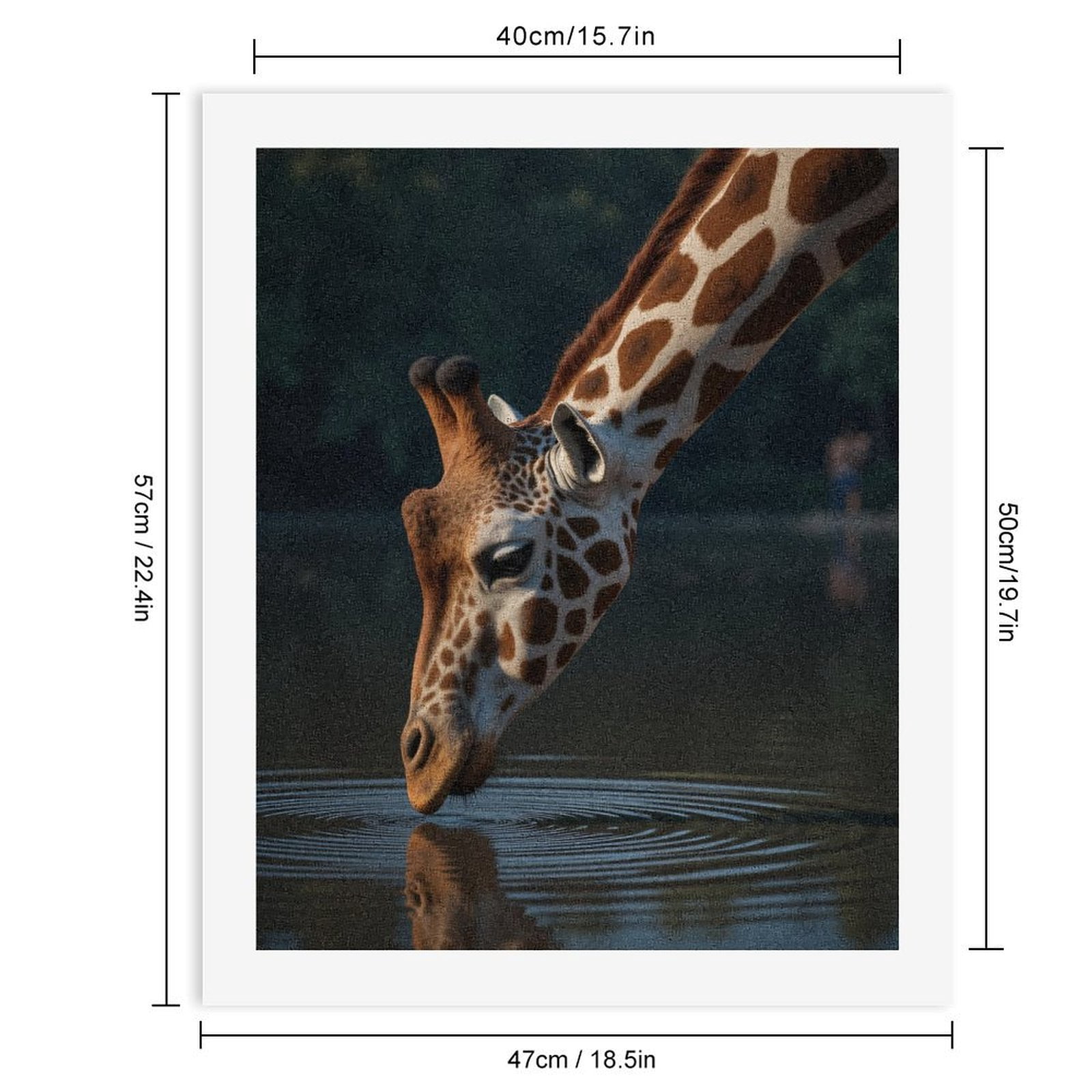 Paint by Numbers Kit for Adults, Giraffe Drinking Water Reflected Nature Paint by Numbers, Easy Paint by Numbers Kit for Adults Beginner, DIY Adult Paint by Number Kits on Canvas, Home Decor