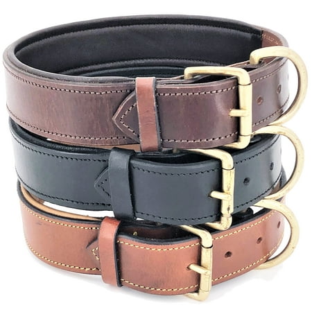 Genuine Real Leather Padded Dog Collar 1.5
