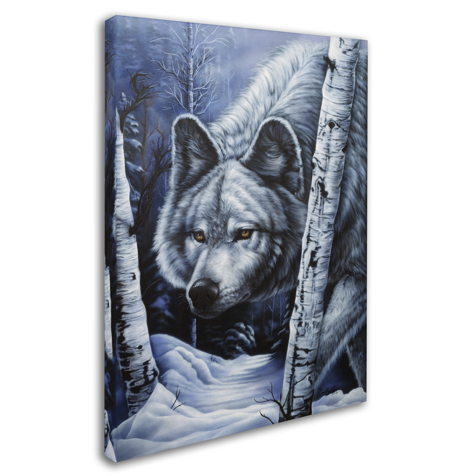 Trademark Fine Art 'White Wolf' Canvas Art by Jenny Newland