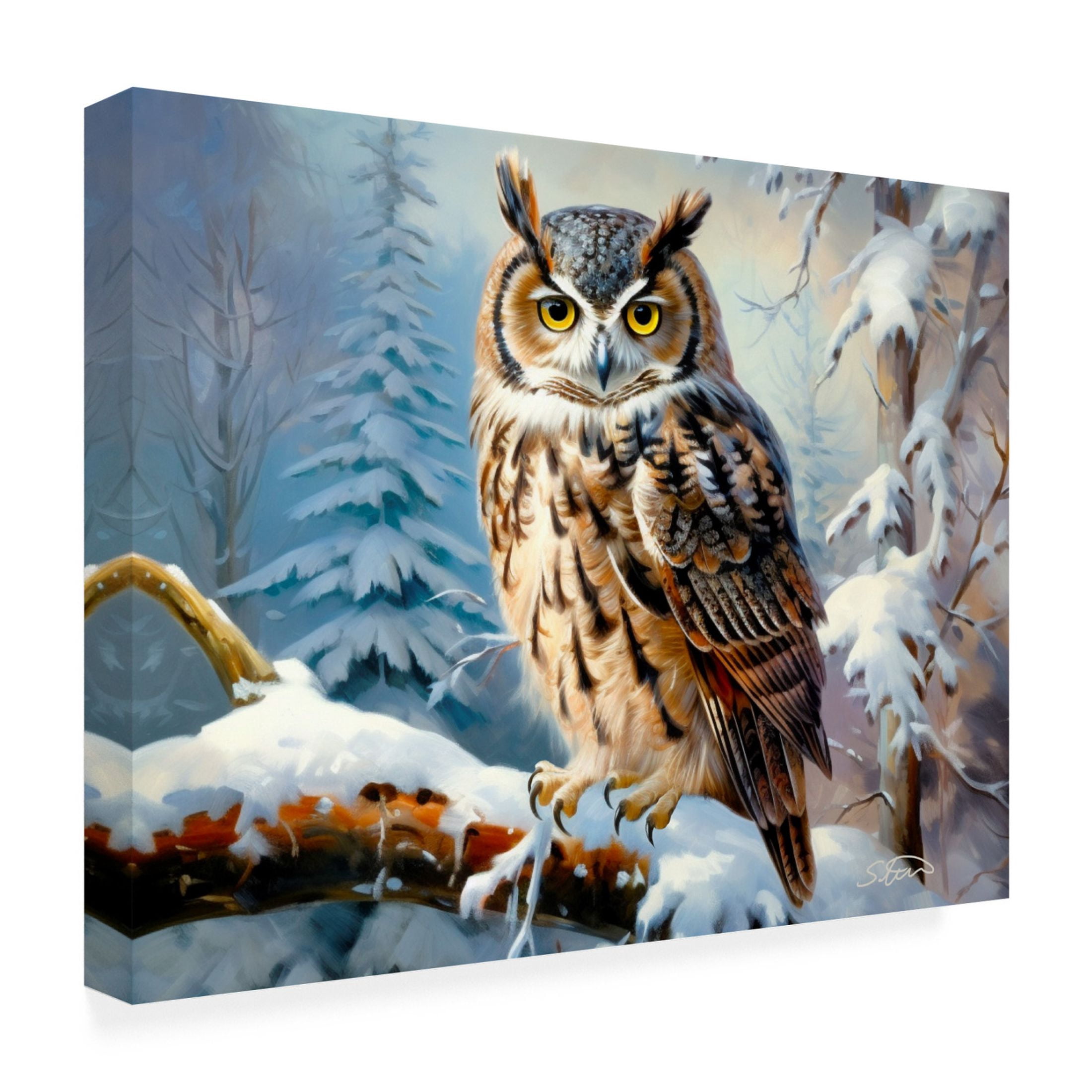 Canvas Wall Art - Stewart 'Winter Silence' Wall Art for Living Room, Bedroom, or Office Décor by Trademark Fine Art - 24 x 18 Inches