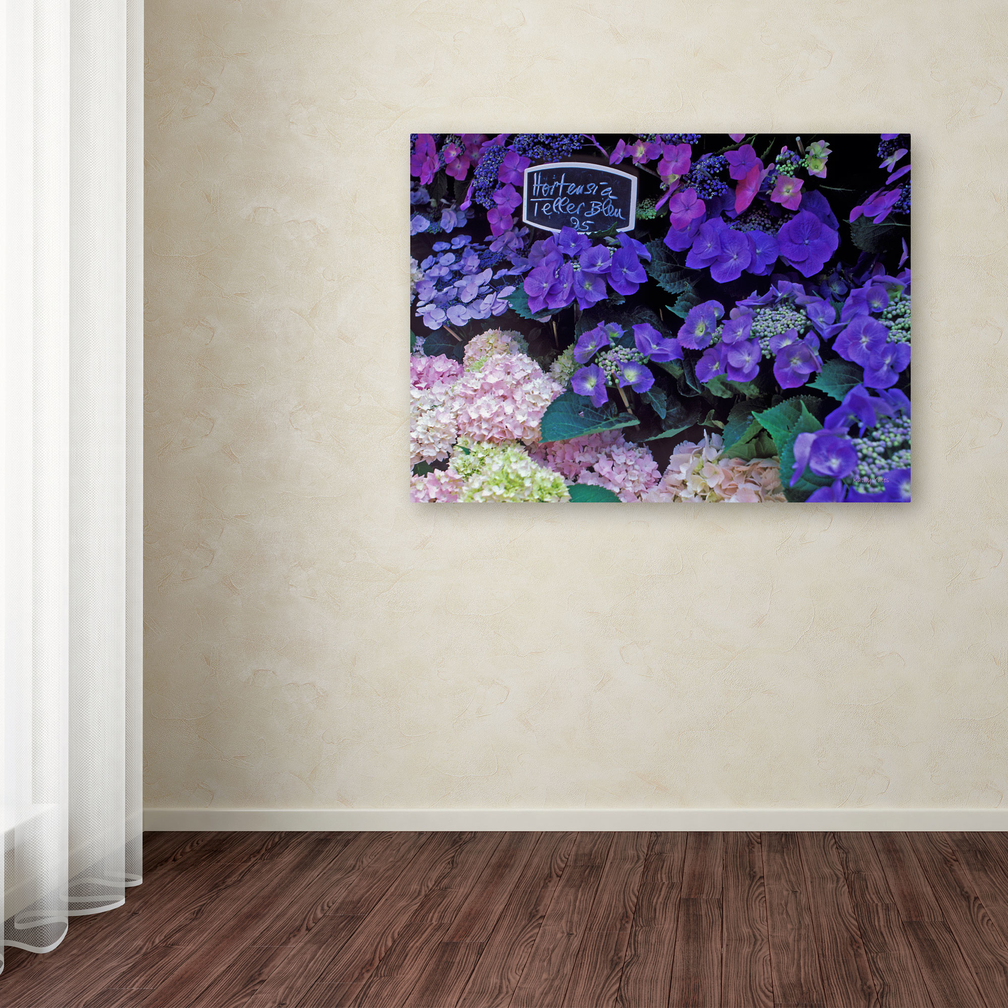 Trademark Fine Art "Paris Flower Market Hydrangeas" Canvas Art by Kathy Yates