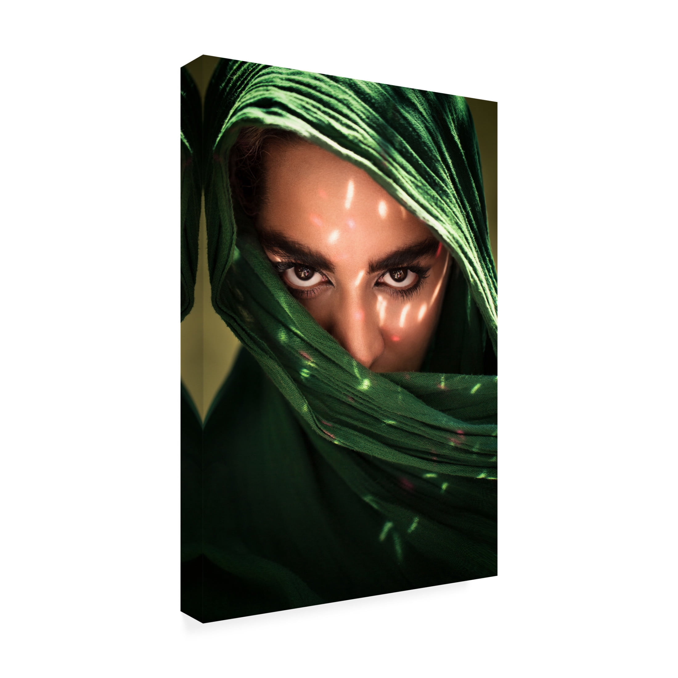 Trademark Fine Art Mehdi Mokhtari Fateme Canvas Wall Art