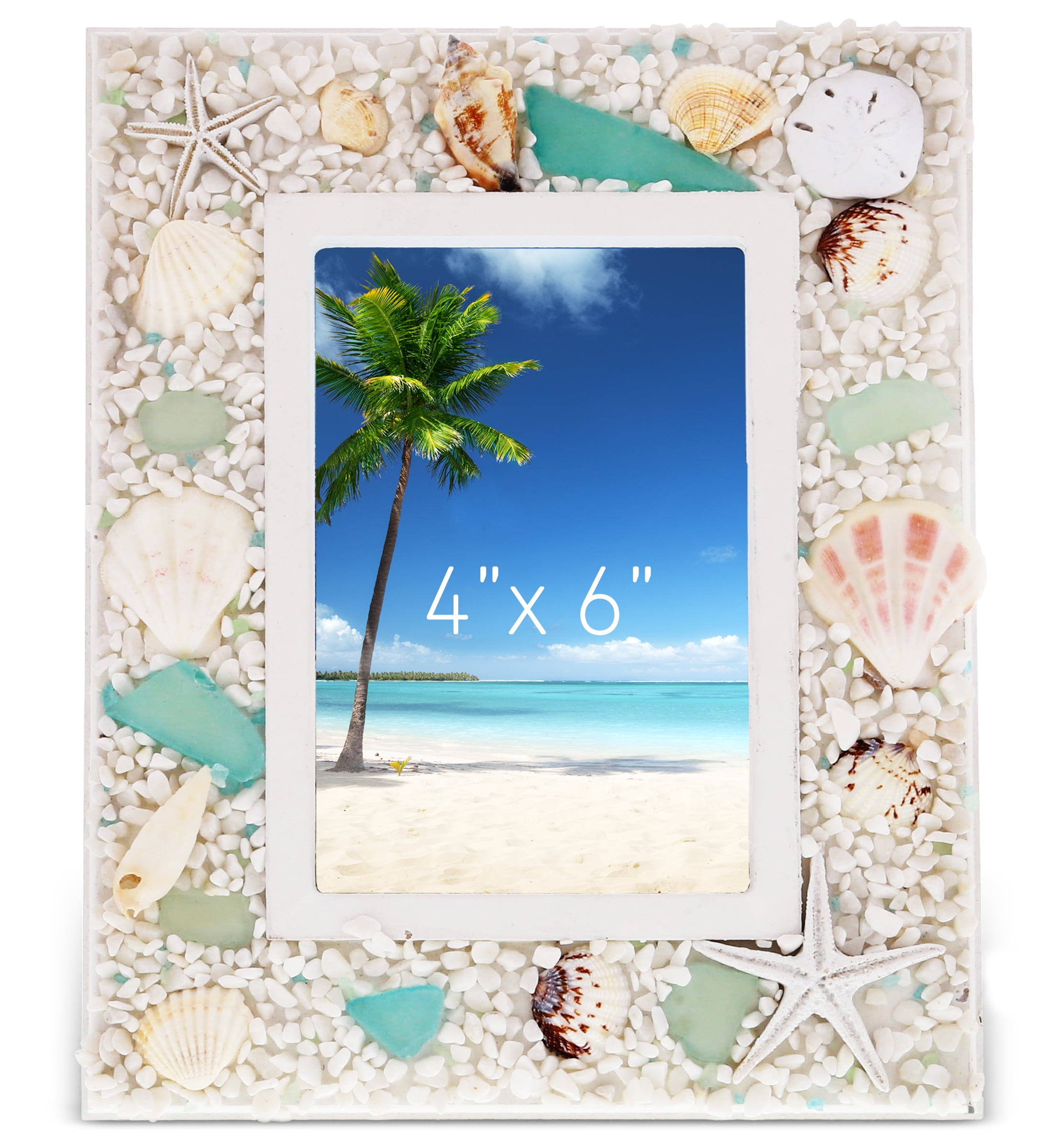 プリントw/フレーム【Colorfornia beautiful ocean】 CoTa Global Flamingo Beach 4x6 Frame - Coastal Theme Decor, White