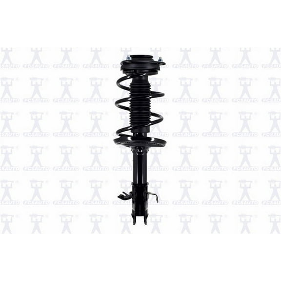 Suspension Strut and Coil Spring Assembly