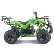 TaoTao D125 125cc Fully Automatic Mid Utility ATV