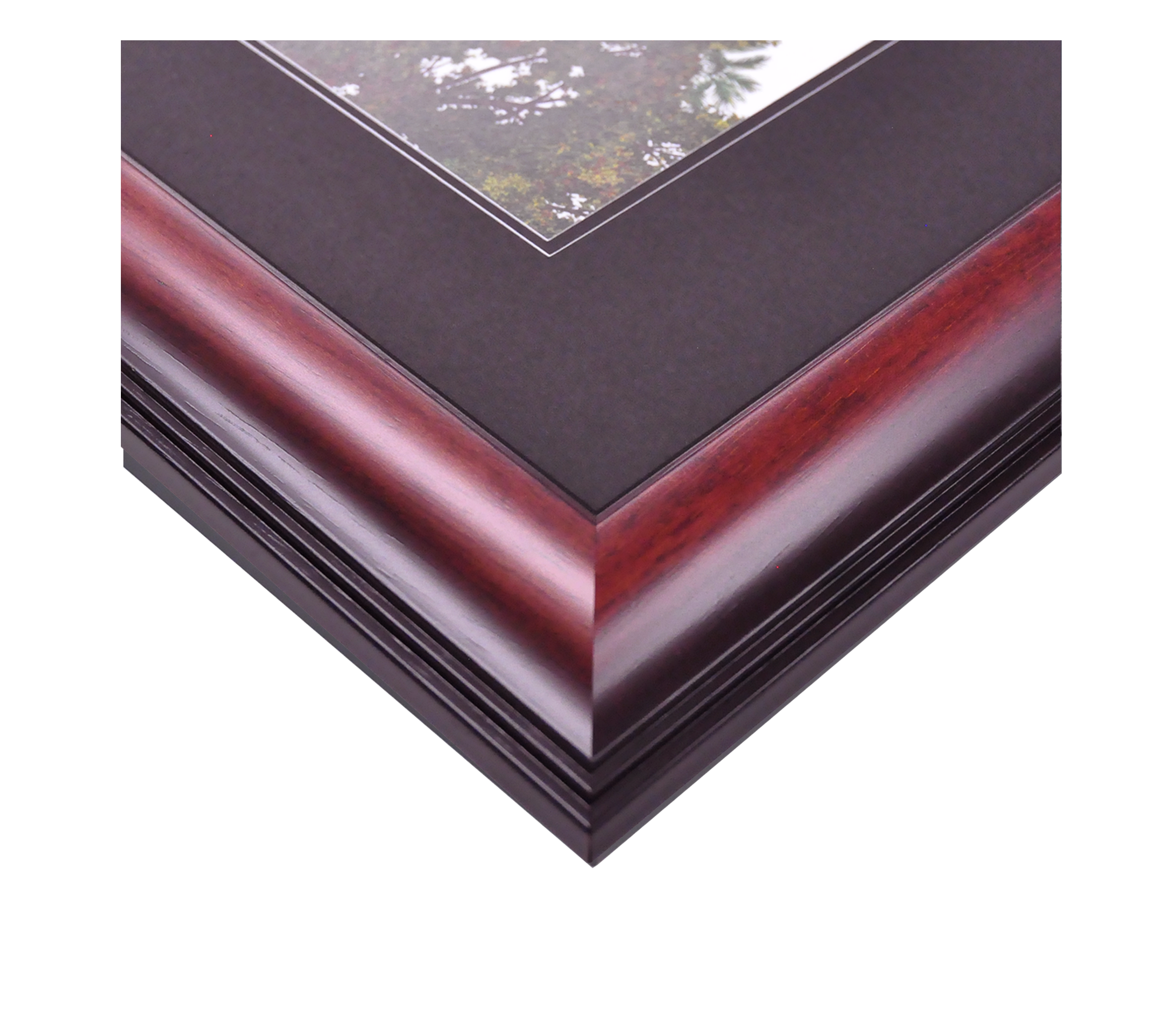Campus Images OR997A University of Oregon Academic Frame Print