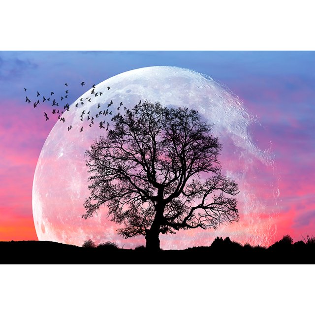 Pintura de diamante (DE1377) Boceto de bricolaje redondo completo 5D bajo el bordado de la luna (L1071) 50x70cm Hugtrwg Para estrenar