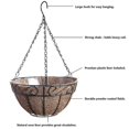 thumbnail image 2 of Cesta de flores colgante con adorno de forro Coco de 10", juego de 2, 2 of 5