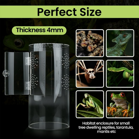 QIPOPIQ Front Opening Terrarium Jumping Spider Enclosure,Tall Arboreal Tarantula Enclosure Terrarium with Cross Ventilation,Waterproof Acrylic Reptile Enclosure(4 Pack)