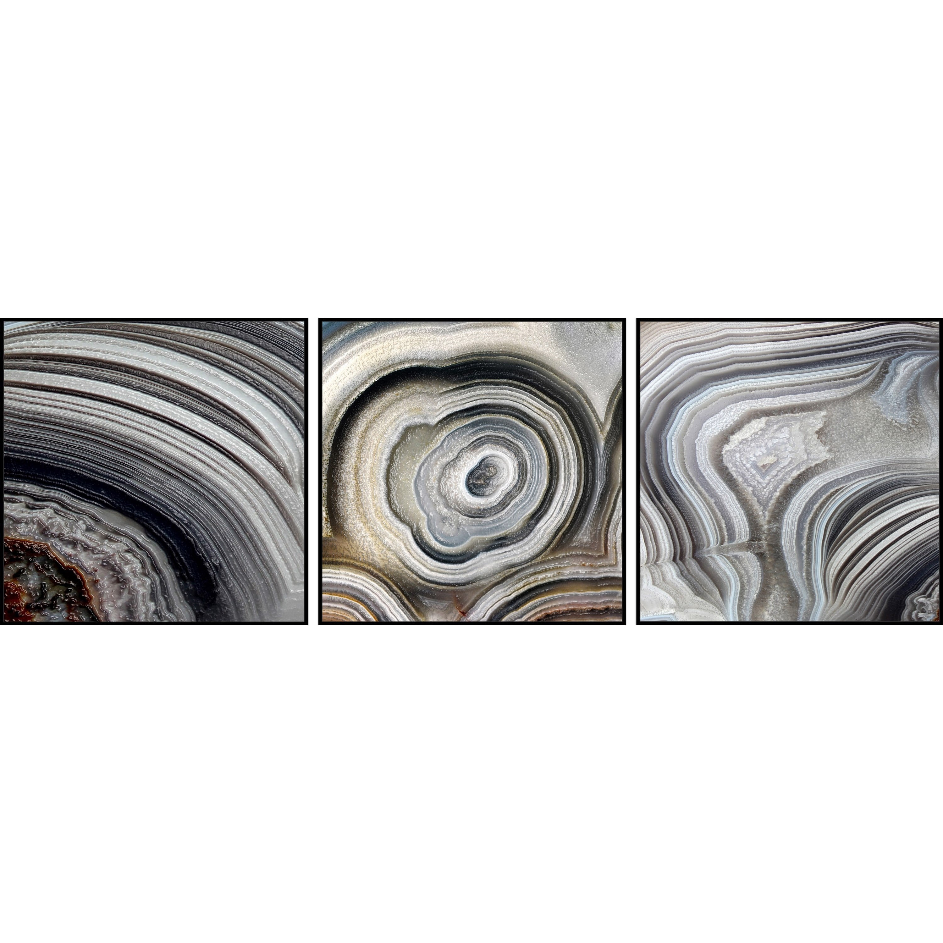 Beige Swirls Triptych