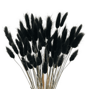 60Pcs Fall Dried Flowers Bunny Tails Dried Flowers Lagurus Ovatus Rabbit Tail Grass for Dried Floral(Black)