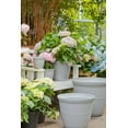 thumbnail image 3 of Pot de fleurs Mainstays Basic Bell 40 cm, gris, design classique avec soucoupe intégrée, résistant aux intempéries, finition mate., 3 of 4