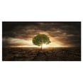 thumbnail image 2 of Design Art - Arbre Solitaire sous Ciel Dramatique, 2 of 3