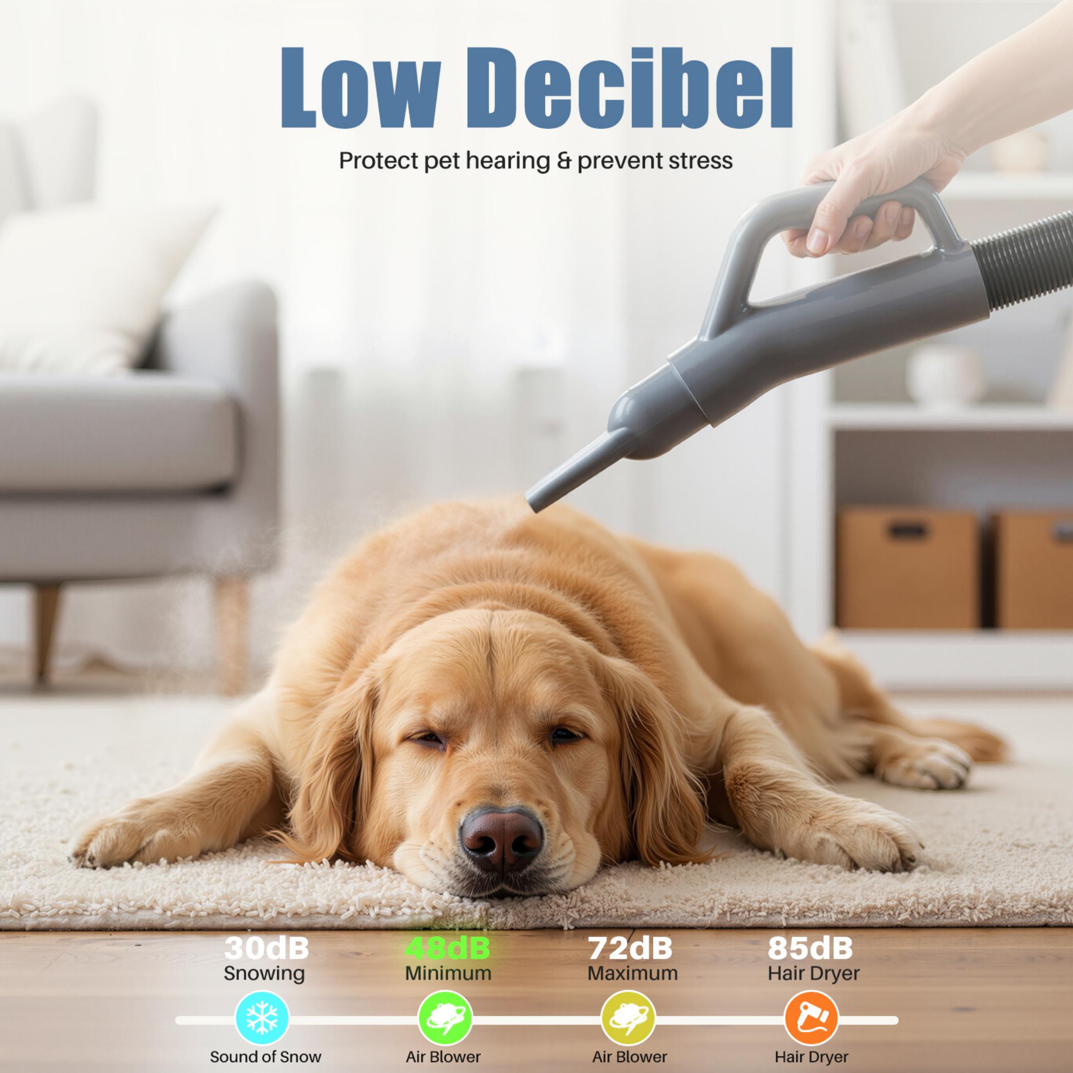 EDX Dog Blower Pet Hair Dryer with Adjustable Wind Speed & Heater Temperature, High Velocity Large Dog Hair Grooming Blower, 4 Nozzles, 6.5ft Cord for Dog Hair Force Blower, Gray