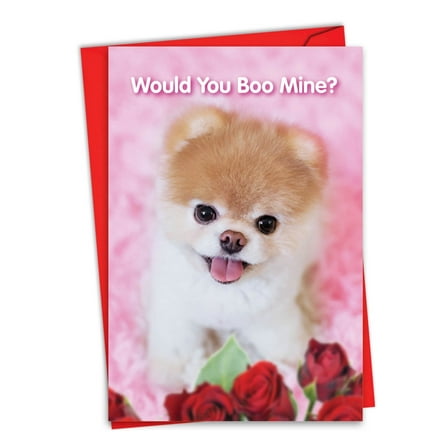 1 Valentine's Day Card with Envelope - Boo My Valentine C6754IVDG