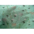 thumbnail image 4 of oneOone Cotton Silk Fabric Bird & Palm Tree Printed Fabric 1 Yard 42 Inch Wide, 4 of 4