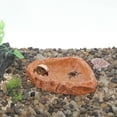 thumbnail image 3 of Plato de comida para reptiles de resina Unique Bargains, plato de comida para lagartos, tazón de agua para tortugas 4.72"x3.74"x0.98" Naranja, 3 of 6