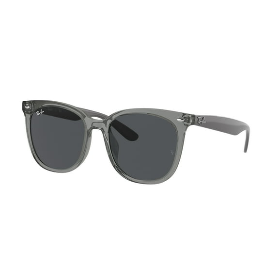 Sunglasses Ray-Ban RB 4379 D 659987 Transparent Grey Dark