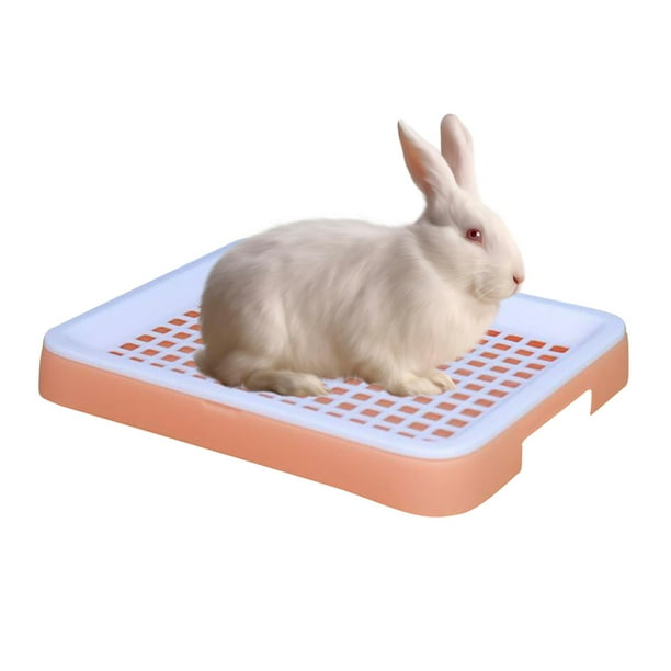 Rabbit litter pans online