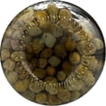 thumbnail image 2 of Alessi - Capers in White Balsamic Vinegar - 3.5 oz - Case of 6, 2 of 4