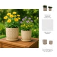 thumbnail image 5 of Decorative Flower Planter with Squoval Pattern and Saucer Plate - Home Decor Plant Pots for Indoor and Outdoor Styling - Perfect Plant Pots Accent for Plant Stand Indoor - Set of 2, 7", 6", Ivory, 5 of 13