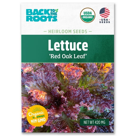 Back to the Roots Organic Lettuce 'Red Oak Leaf', 1 Seed packet