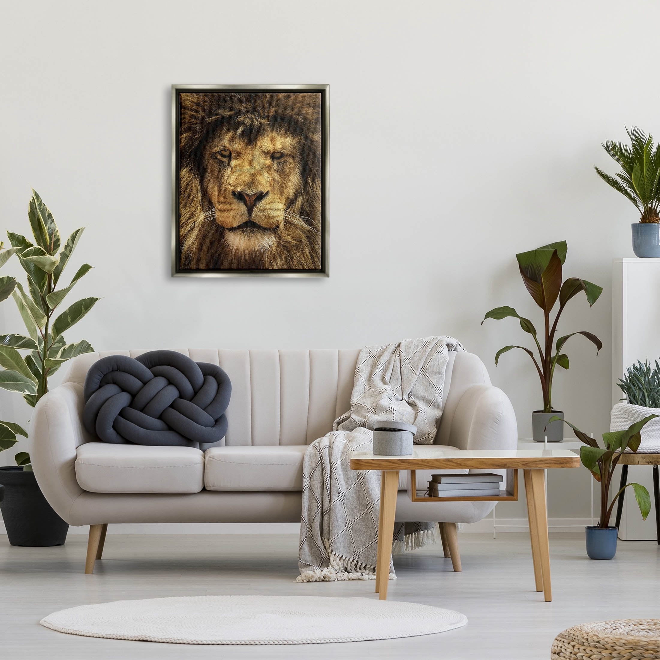 Stupell Industries Close Up Lion Portrait Photograph Luster Gray Floating Framed Canvas Print Wall Art, Design by Carrie Ann Grippo-Pike