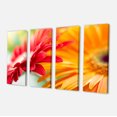 thumbnail image 2 of Fleur de Marguerite Rouge et Jaune - Impression sur Toile Florale, 2 of 3
