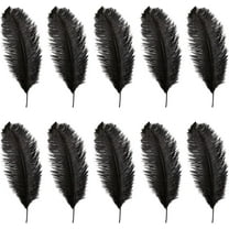 Black Ostrich Feathers,Bexikou 20 Pcs 8-10 inches Natural Ostrich Feathers Plumes for Wedding Party Centerpieces, Home Decorations and DIY Crafts