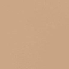 310 Sun Beige