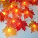 thumbnail image 1 of Tira De Luces Led De Hojas De Arce Para Halloween, Lámpara De Linterna Luminosa, Diseño De Barra De Fiesta En El Jardín, Tira Decorativa Methold HA024439-00, 1 of 6