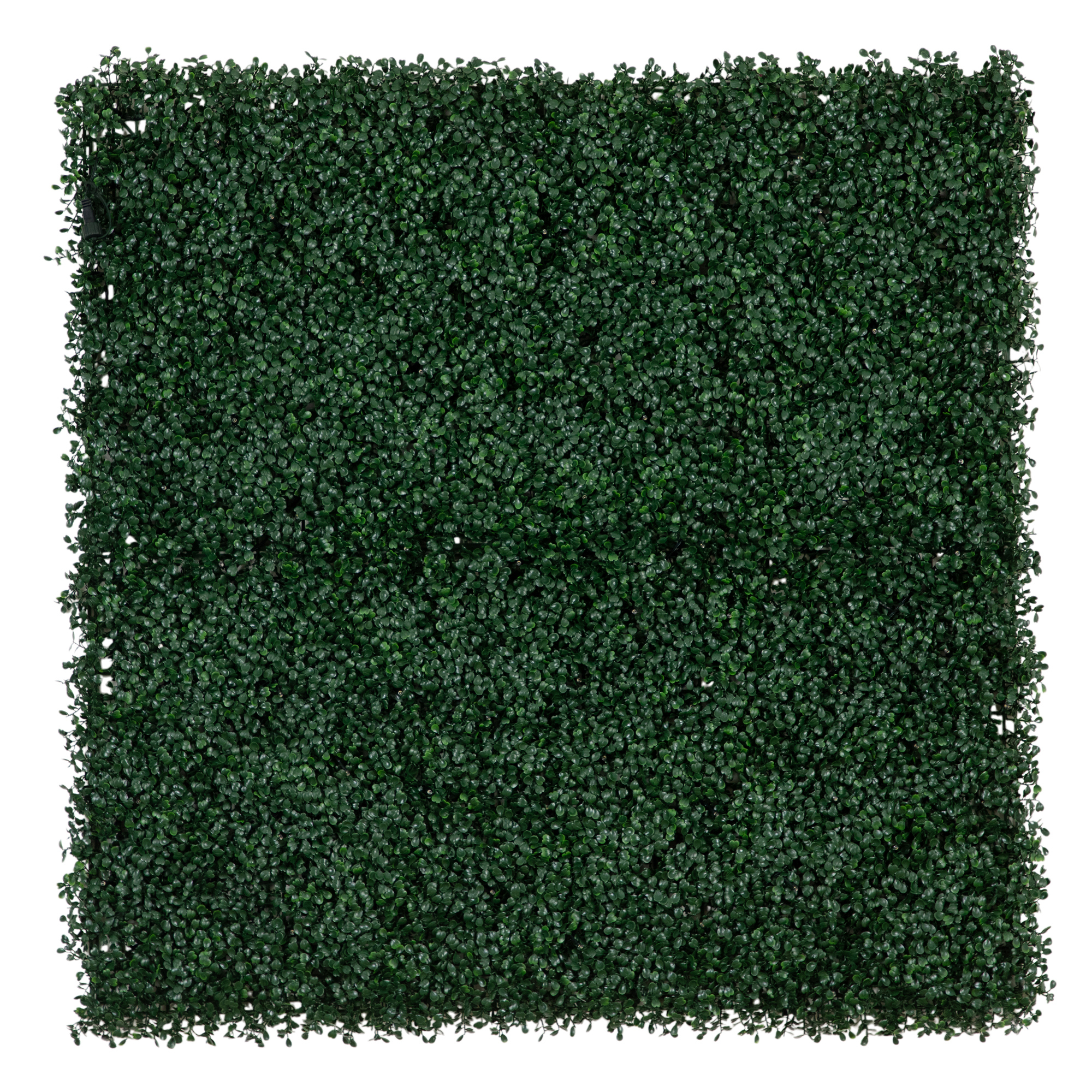 Nearly Natural 40in. x 40in. UV Resistant Boxwood Artificial Living Wall Panel with 100 Warm White LED Lights (Indoor/Outdoor)