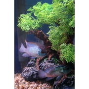 Komodo Bonsai Tree, Artificial Green Aquarium Decor Plant